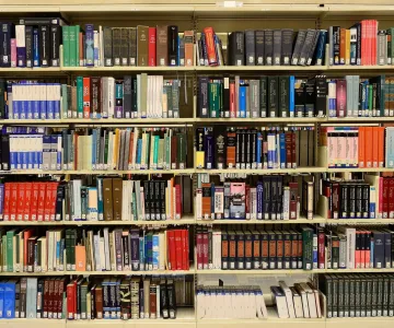 Wall full of books
