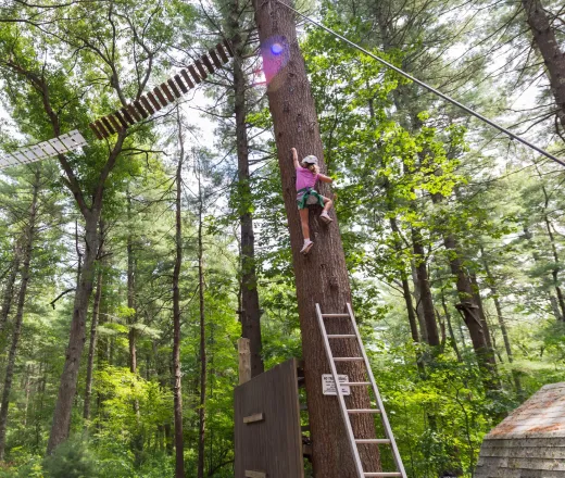 Girl with helmet on climbing a tree course to get to a bridge obstacle